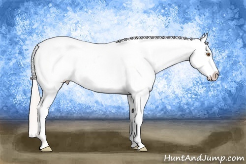 Horse Color: Silver Classic Champagne Blanket 