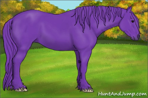 Horse Color: Watercolor Smoky Black 