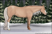 Horse Color:Silver Classic Champagne 