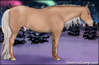 Horse Color:Silver Classic Champagne 