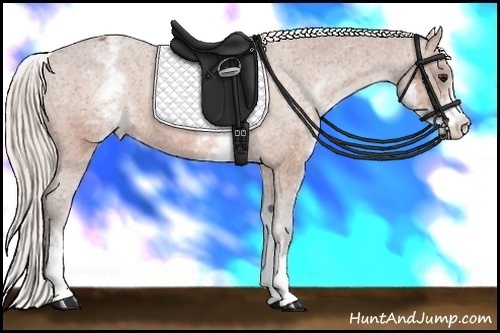 Horse Color: White Spotted Silver Bay Varnish Rabicano 