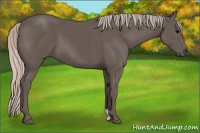 Horse Color:Silver Black 
