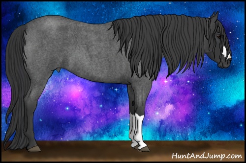 Horse Color: Blue Roan 