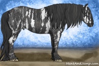 Horse Color:Black Sabino  Brindle