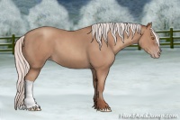 Horse Color:Silver Classic Champagne 