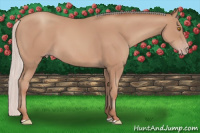 Horse Color:Silver Classic Champagne 