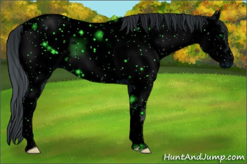 Horse Color: ERROR: UNKNOWN ANOMALY