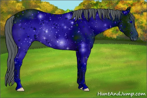 Horse Color: ERROR: UNKNOWN ANOMALY