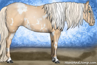 Horse Color:White Spotted Palomino Pearl 