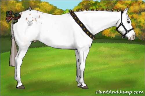 Horse Color: Bay Ice Tobiano Blanket Rabicano 