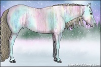 Horse Color:Liver Chestnut Ice Pearl Sabino 