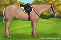 Horse Color:Silver Classic Champagne 