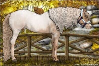 Horse Color:Liver Red Roan Pearl 
