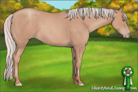 Horse Color:Silver Classic Champagne 