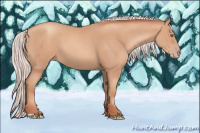 Horse Color:Silver Classic Champagne 