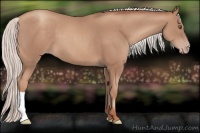 Horse Color:Silver Classic Champagne 