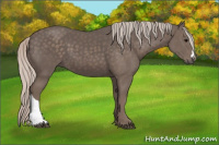 Horse Color:Silver Black 