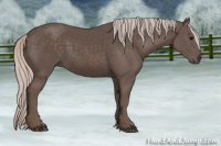 Horse Color:Silver Black