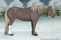 Horse Color:Silver Black 