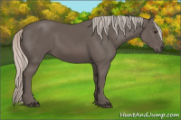 Horse Color:Silver Black