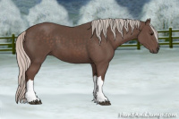 Horse Color:Silver Black 