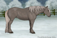 Horse Color:Silver Black 