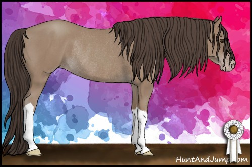 Horse Color: Classic Champagne Rabicano 