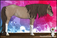 Horse Color:Classic Champagne Rabicano 