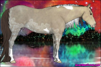 Horse Color:Classic Champagne Ice Tobiano