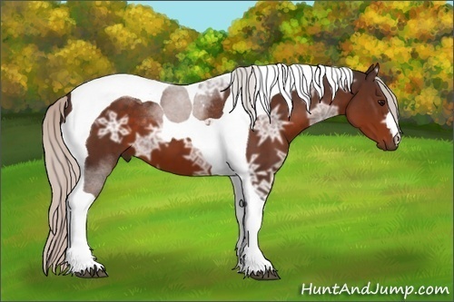 Horse Color: Silver Brown Ice Tobiano 