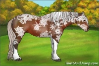 Horse Color:Silver Brown Ice Tobiano 