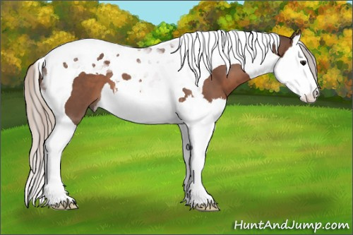 Horse Color: Silver Brown Splash Tobiano 