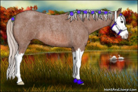 Horse Color:Silver Bay Roan Splash