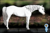 Horse Color:Black Appaloosa Rabicano 