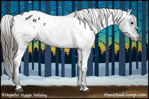 Horse Color: Black Blanket Rabicano 