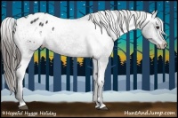 Horse Color:Black Appaloosa Rabicano 