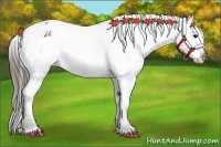 Horse Color:Black Blanket Rabicano 
