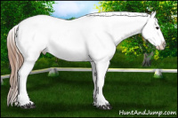 Horse Color:Black Blanket Rabicano 