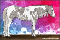 Horse Color:White Spotted Silver Black Ice Splash Tobiano Rabicano 