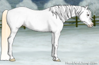 Horse Color:Smoky Black Varnish Rabicano 