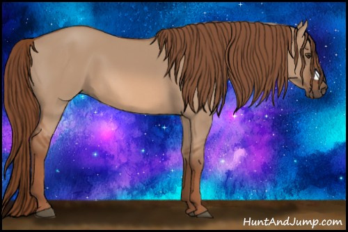 Horse Color: Red Dun 