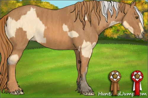 Horse Color: Silver Buckskin Roan Dun  Brindle