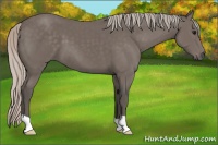 Horse Color:Silver Black 