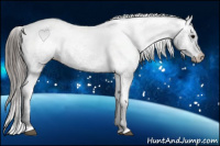 Horse Color:Black Appaloosa Rabicano 