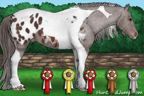 Horse Color: Brown Tobiano Blanket 