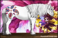 Horse Color:Gray Smoky Black Appaloosa Rabicano