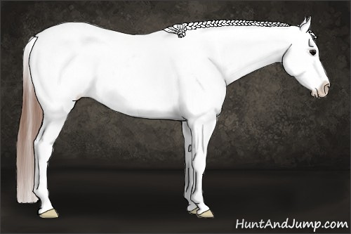 Horse Color: Black Varnish Rabicano 