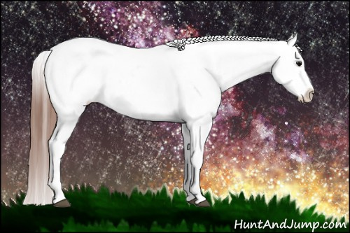 Horse Color: Black Blanket Rabicano 