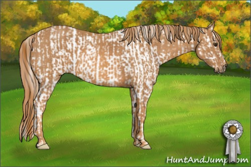 Horse Color: Chestnut Blanket  Brindle
