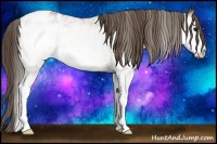 Horse Color:White Spotted Buckskin Blanket 
